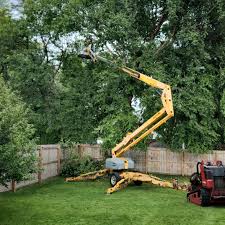 Reliable Kingstown, MD Tree Services Solutions